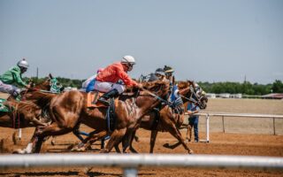 apostas em corridas de cavalos