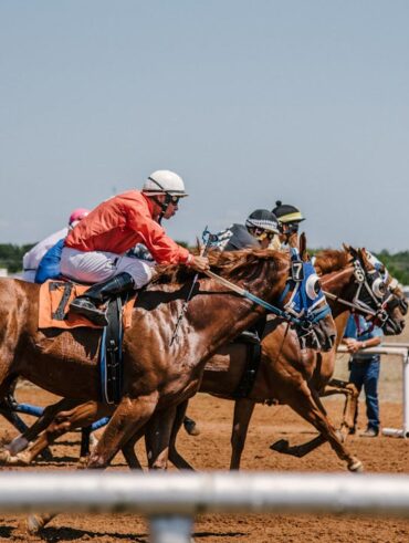 apostas em corridas de cavalos